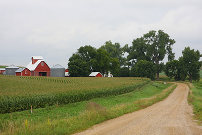 Farmland with crops